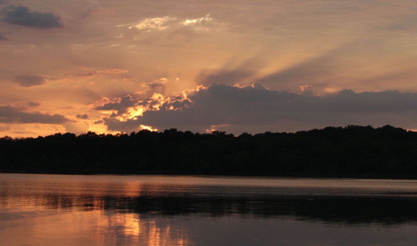 and for your name's sake you lead me and guide me